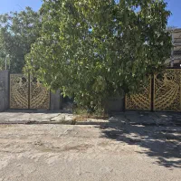 سوییت مستقل