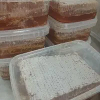 عسل طبیعی تهیه شده از کوه‌های زاگرس فارس