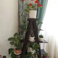 شلف گل یا کتابخانه