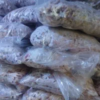 اسکلت مرغ|لوازم جانبی حیوانات|رودهن, |دیوار