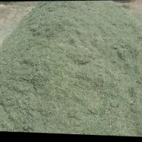 یونجه خالص چین سوم