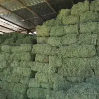 یونجه پرس شده