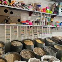 لوازم پرنده،عروس هلندی سخنگو،فنچ