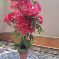 ۶عدد گل|گل و گیاه طبیعی|شهریار, شهرک وائین|دیوار