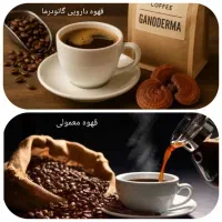 نمایندگی رسمی پک کامل قهوه گانودرما/ارسال فوری