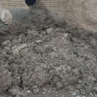 انبار گاو