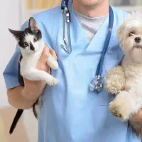 استخدام نیروی خدمات