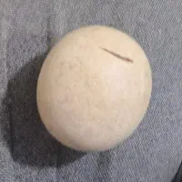 سنکی کاملا گرده یه چیزه زیبا شبیه تخم