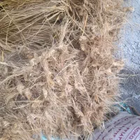 فروش وسیله کشاورزی