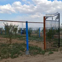 باغ-500-متری-با-40-اصله-درخت-دوساله-بارده