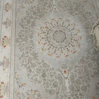 قرش ۱۲متری