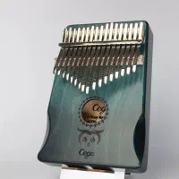 سازک|گیتار، بیس، امپلیفایر|اصفهان, نقش جهان|دیوار