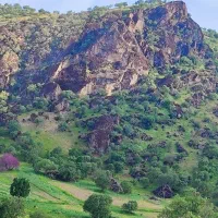 هدیه بلو بانک