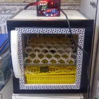 دستگاه جوجه کشی ۴۲عددی چیکن لند اتومات