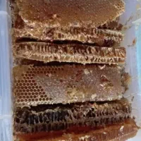 عسل ۱۰۰ درصد طبیعی