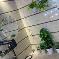 همکار جهت یادگیری در پیراش مردانه