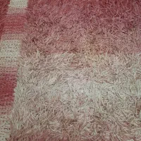 گلیم فرش|گلیم، جاجیم، گبه|قم, شهرک قدس|دیوار