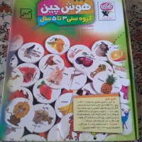 هوش چین ۲تیکه