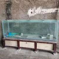 آکواریوم بزرگ