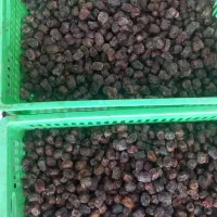 مرداسنگ 5 تن