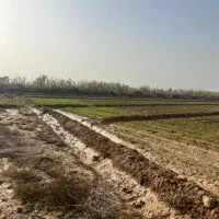 یک-هکتاز-زمین-سند-تک-برگ-معاوضه