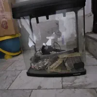 آکواریوم