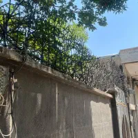 حفاظ شاخ گوزنی