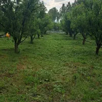 باغ ویلایی|فروش زمین و ملک کلنگی|مشگین شهر, |دیوار