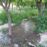 زمین  ویلایی 1000 متری با 2ساعت اب ملکی وبرق و