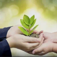 مقداری پول دارم برای سرمایه گذاری