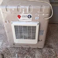 فروش کولرابی
