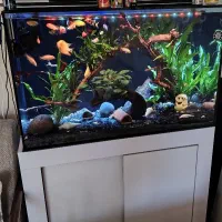 آکواریوم 100 در 50 در 60