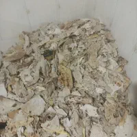 فروش نان خشک