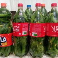 خیارشور قلمی بطری