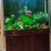 اکواریم شرکتی شیشه خم،برند ..