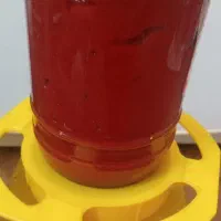 رب گوجه خانگی
