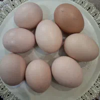 تخم مرغ نطفه دار محلی و گلپایگان