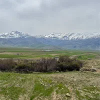 باغ بیلوار