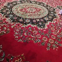 فرش در حد نو
