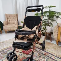 کالسکه دلیجان مدل بنیتا