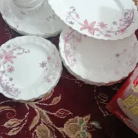 سرویس غذا خوری