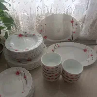 ارکوپال