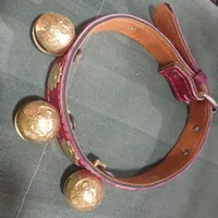 * قلاده سگ * «ارسال به سراسر کشور»
