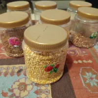 شیشه پلاستیکی