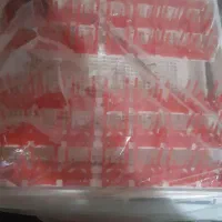 دستگاه جوجه کشی ایزی باتور ۲