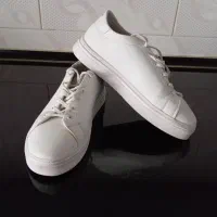 کفش ونس