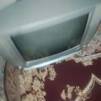 تلویزیون