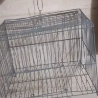 قفس سهره۵۰تومان