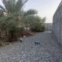 رودان-ابنما
