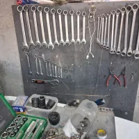 (جلوبندی و ترمزی سلمانی) حتما توضیحات خانواده شود